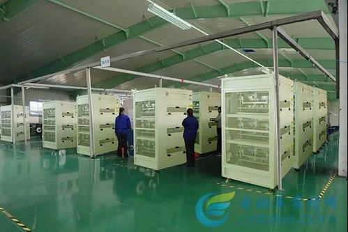 獨具匠芯，馳名天下 芯馳光電科技如何鑄就行業(yè)領先之路